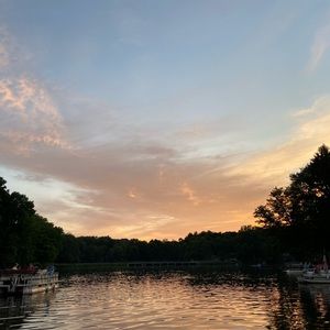 Meet your Posher, Lily